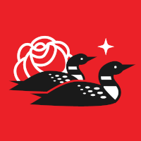 Twin Cities DSA Stands With Palestine