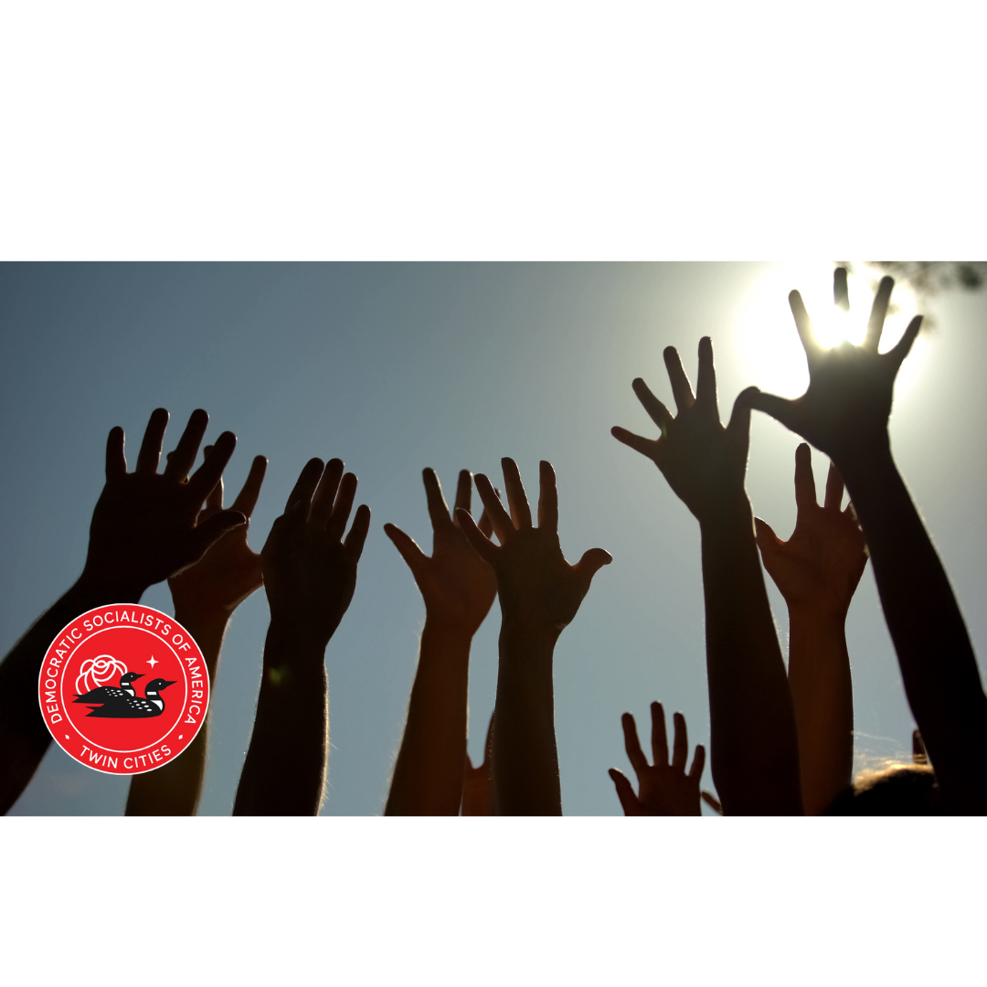 Twin Cities DSA Visioning Sessions Twin Cities DSA