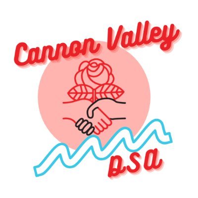 Reflections on Cannon Valley DSA